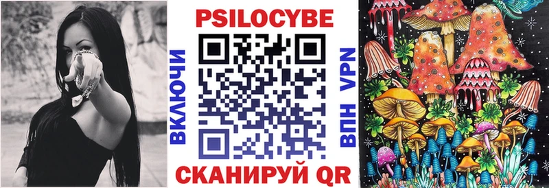 Купить где  Нововоронеж  Галлюциногенные грибы Psilocybe 